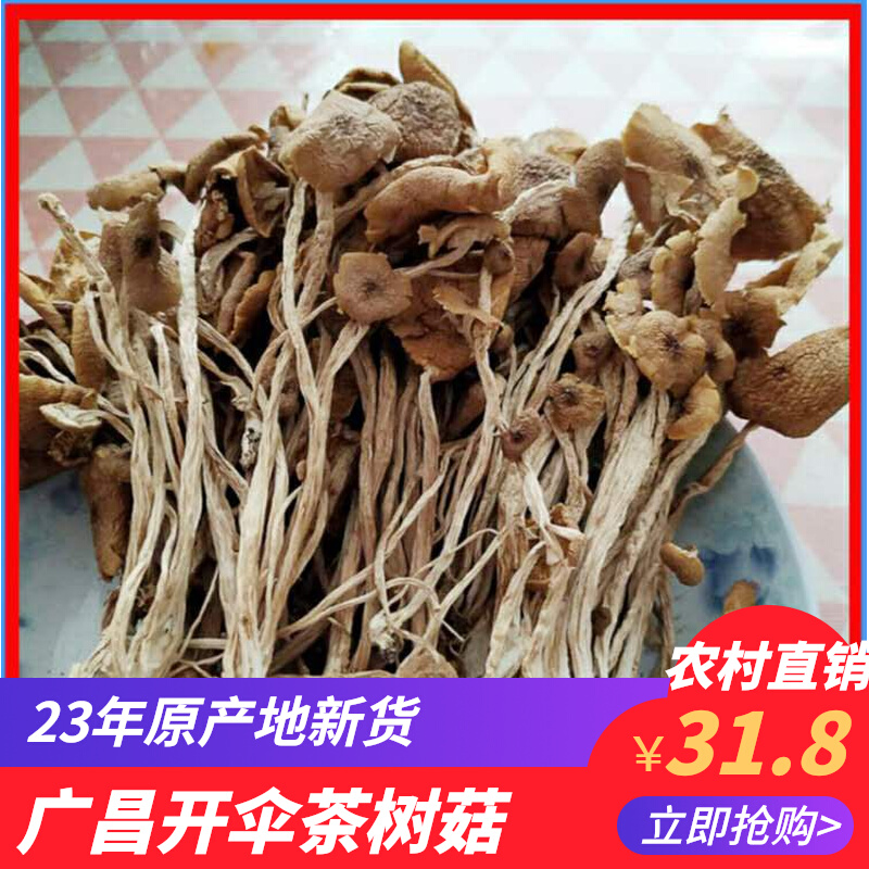 New goods Jiangxi Guangchang small cap thin rod open umbrella tea tree mushroom dry goods 500g rural direct sales