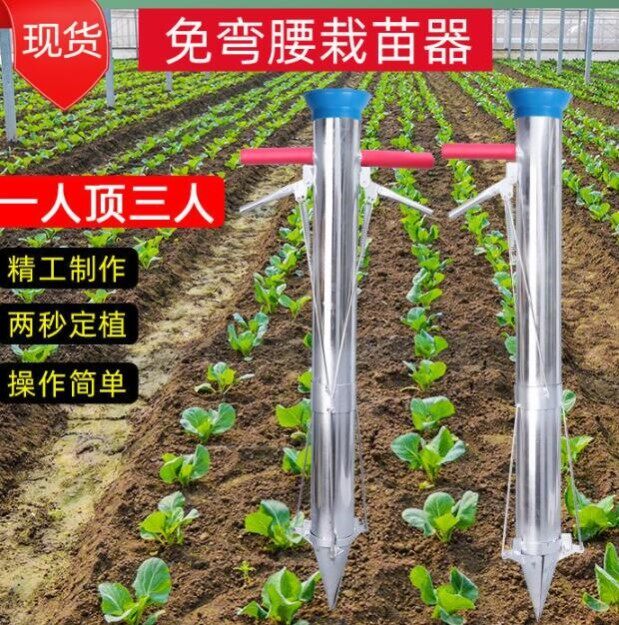 Seeder planter planting vegetable seedling tool planting rapeseed chili pepper seedling vegetable seedling agricultural multi-functional