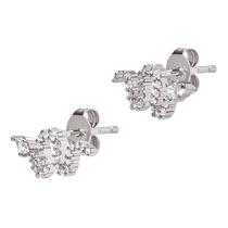 (Self-operated) Armani Silver Snake series earrings for women sparkling and luxurious as a gift for your girlfriend