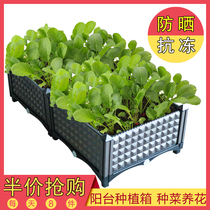 Growing vegetable artifact family balcony vegetable planting box extra clearance building roof planting pot plastic planting pot vegetable box