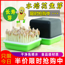 Peanut Bud hydroponic box planting pot sprouting artifact nursery plate peanut seed fresh peanut seedling