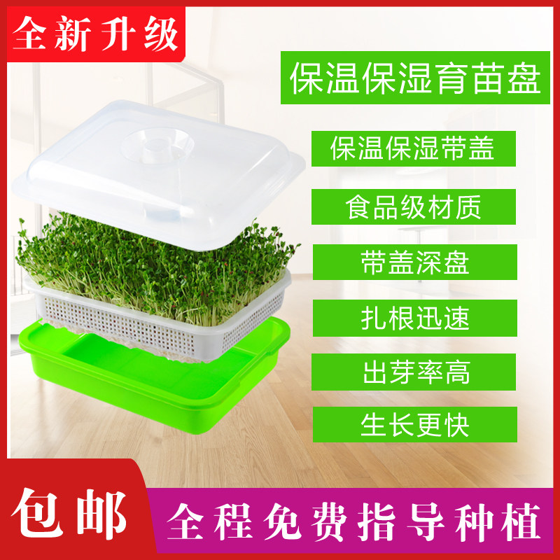 Sprout vegetable seedling plate bean sprouts seedling plate wheat seed soilless cultivation tray rectangular balcony vegetable seeds