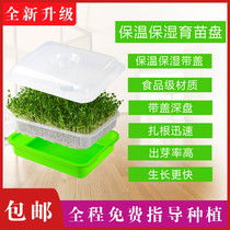 Sprouts nursery plate bean sprouts nursery plate wheat soilless cultivation tray rectangular balcony seed