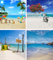 3D stereo background cloth live broadcast background cloth anchor background cloth net red background cloth photo photography background cloth sh16