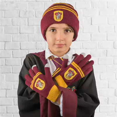 Cinereplicas Harry Potter Surrounding Gryffindor Slytherin Children's Hats Touch Screen Gloves Set