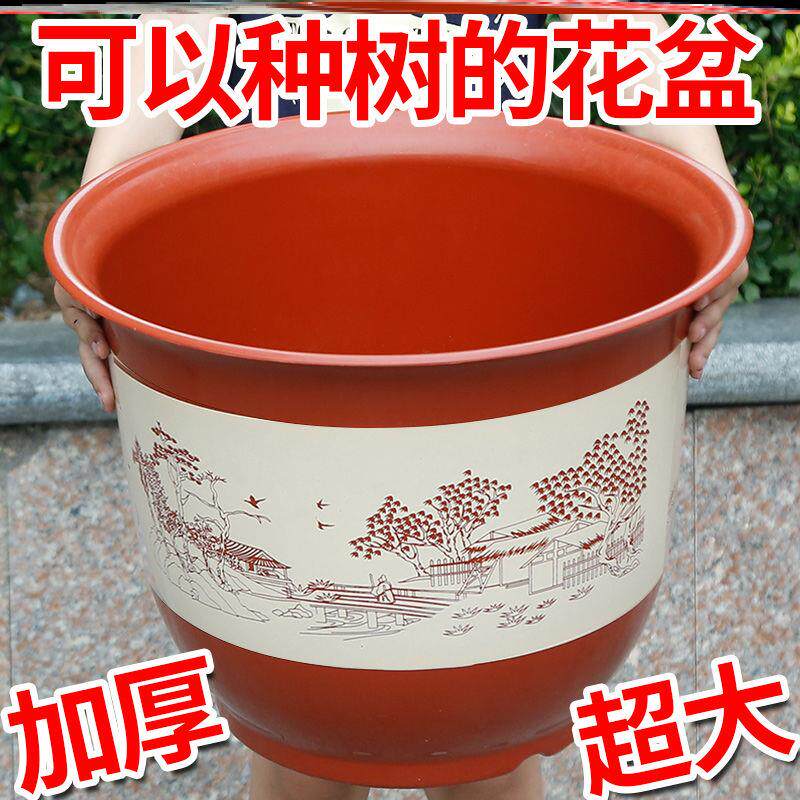 Large size bonsai plastic with large caliber 30 above flower pots Large Size Bonsai Plastic Short Fat Gallon Breathable Butterfly Orchid Gold Glands Pendulum