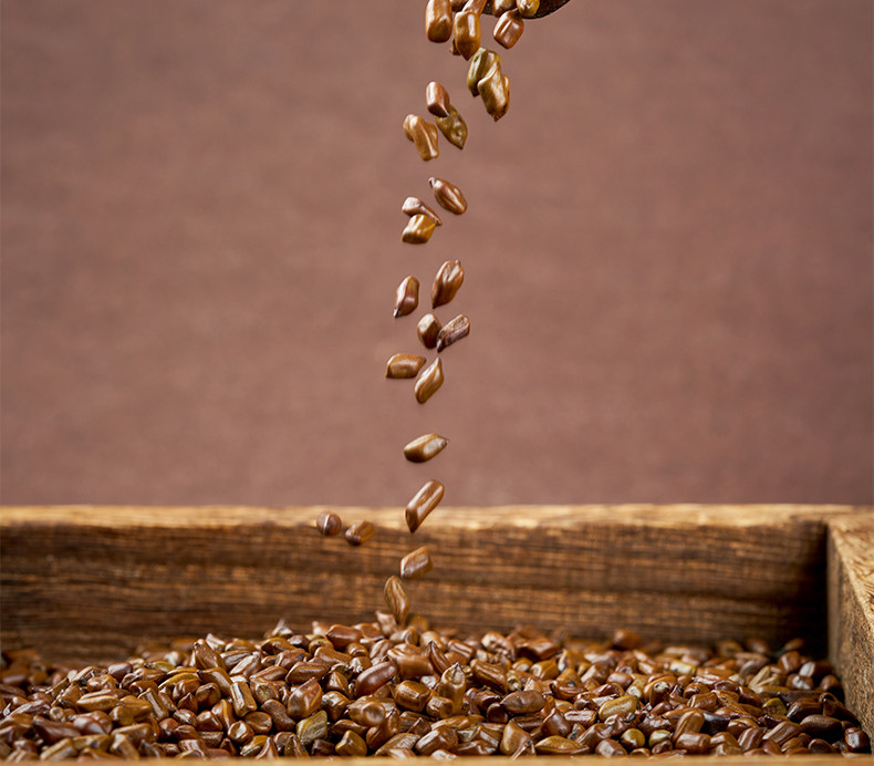 Premium Roasted Cassia Seed 500g Jue Ming Zi Herbal Tea Ingredient for Daily Brewing in use