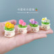 Cartoon ins style simulated flower potted blind bag mini green plant flowers car central control decoration cute ornaments