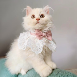 Cat Clothes Summer Thin Style Ragdoll Cat Kitten Nursing Cat Small Cat Dress Princess Dress Cat Summer Collar Scarf