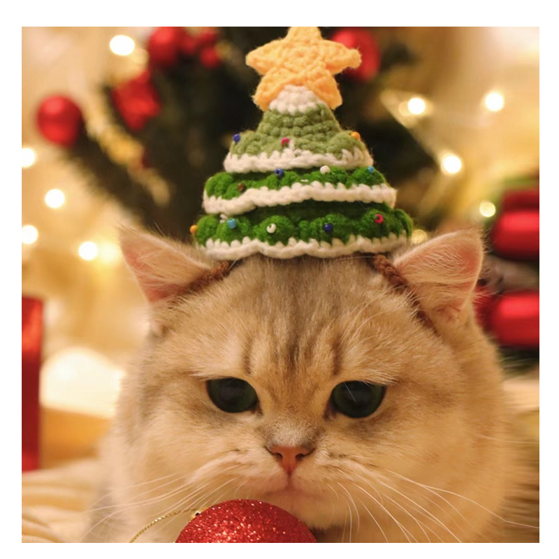 Cat Christmas hat Little cat hat adorned with Christmas Pet dress cat headgear Puppy kitty Woven Little Hats-Taobao