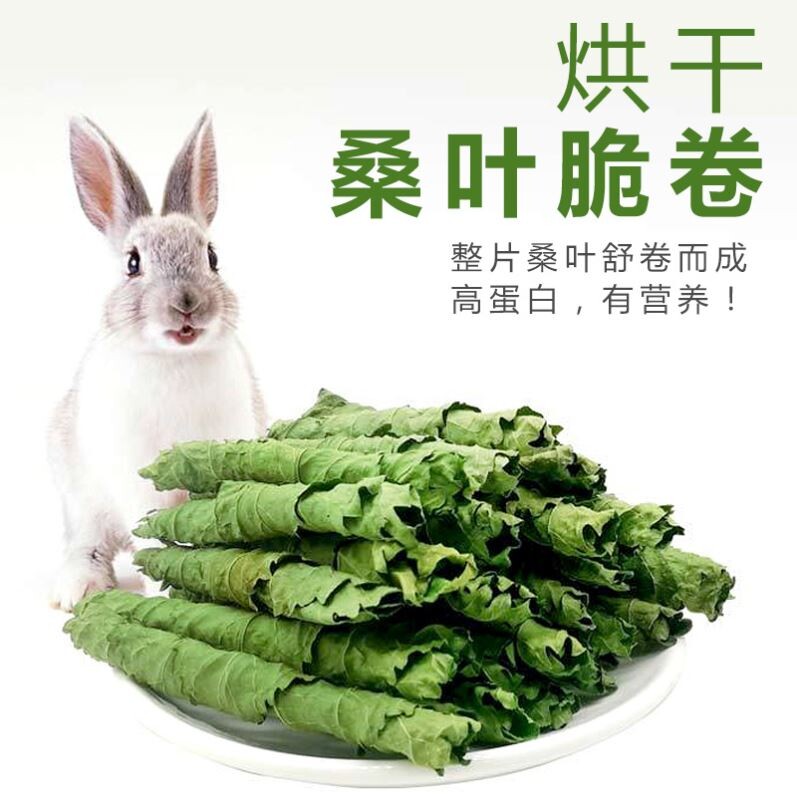 Grass boss green fiber crisp mulberry leaves 50g*1 box fresh tender mulberry leaves small pet chinchillas young rabbit guinea pig maintenance