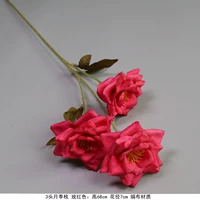 Джинджер три розетки красные