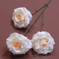 Лысый синий 3 розовой листья без листья-хапань