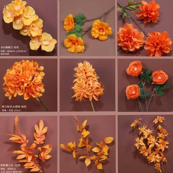 Товары от 山有木绿植