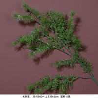 Сосновая трава ветви зеленые