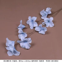 Gazhuanhuan Flower Blue