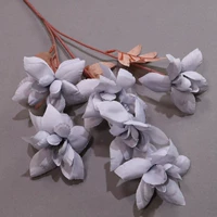 Розовые 5 голов в Xi Yanhua-Smog Blue