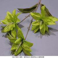 Синие 3 головы Лили Грин