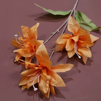 3 Голова Лили-Оран