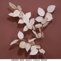 Чампанское цветовые новые розовые листья