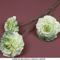 Ярко-желтый 3 кои безлистных зеленых