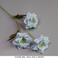 Абрикос Три розового синего