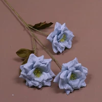 Светло-зеленый 3 розетка