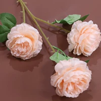 Арбуз красный 3 Большой пион шампанский цвет