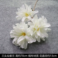 Черная фея-фиолетовая белая