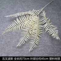 Шампанское цветное персидское персидское