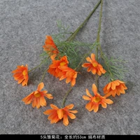 五头雏菊—橘色 满5枝包邮