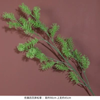 Жирная сосна трава зеленая