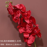9 высокий моделирование Phalaenopsis-Red
