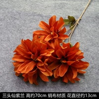 Темно-синий 3 феи пурпурно-оранжевый