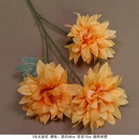 3 апельсиновый цветок дали