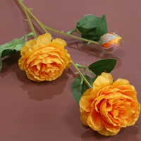 Белый 3 -голод пион апельсин