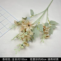 Шампанское Color-Wuyao Daju