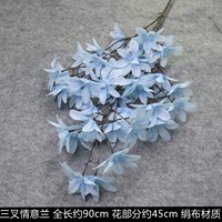 Любовь орхидея синий