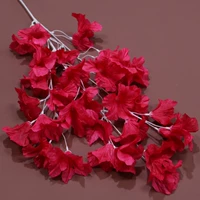 4 Фас, проходящая на цветочной розе красная