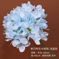 Одинокий цветочный большой гидрангея-голубой