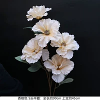 Шампанское цвет-5 головы наполовину лето