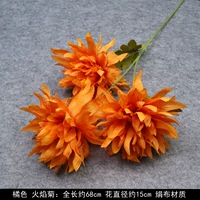 Джинджер 3 головы пламя хризантема