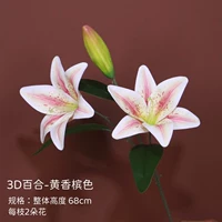 3D-лилия шампанского порошка