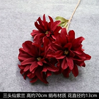 Голубая феи пурпурная