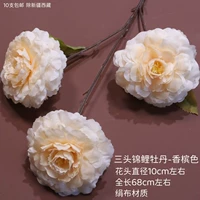 Хаки 3-головый кои-пион-хампань