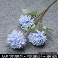 3 заголовка Chrysanthemum Sky Blue