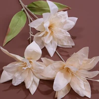 Озеро синее 3 головы лилия-хампань