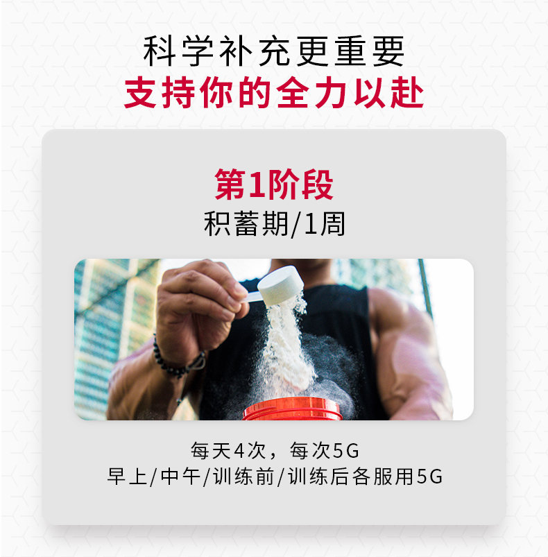 【BSN】必胜DNA肌酸粉309g