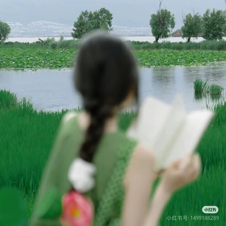 相语 简约之美