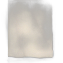 Korean direct mail danton general sweatshirt